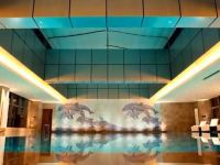 上海外高桥喜来登酒店 - 室内游泳池