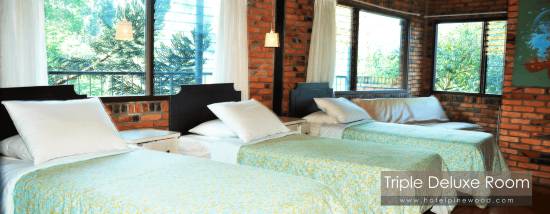 The Pinewood Lodge Organic Farm Citapen Updated 2022 Price Reviews Trip Com