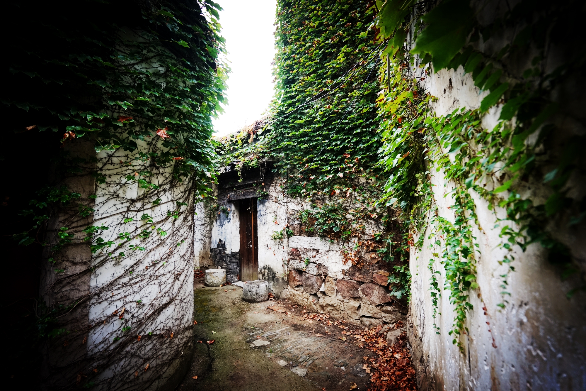 Lane·YunGeOver view