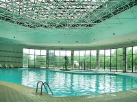 潍坊富华大酒店(A座) - 室内游泳池