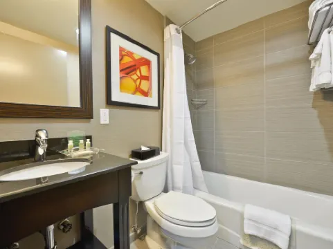 Holiday Inn NYC - LOWER EAST SIDE by IHG