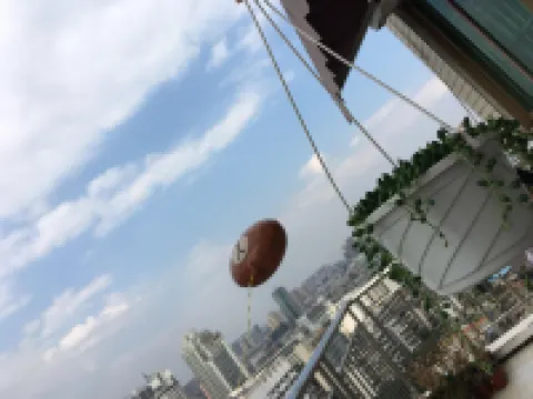 Lemon Tree Youth Hostel