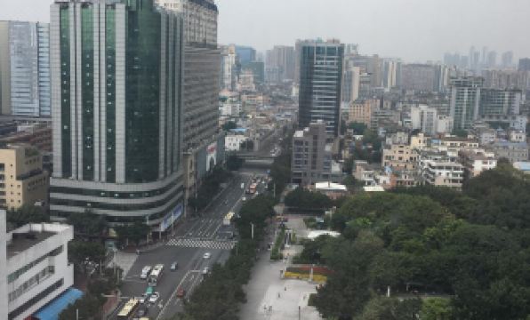 Green lemon tree International Apartment