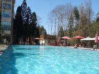 普安森林温泉酒店 - 室外游泳池