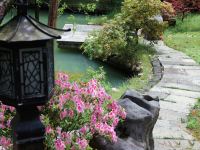 杭州常绿山居 - 花园