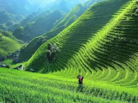 15/5000  Lung Chi Hospital (ShaoLok Shop, Lung Chi Terraces, West Hills)