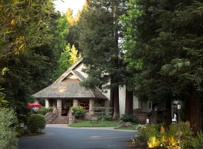 하베스트 인 세인트 헬레나