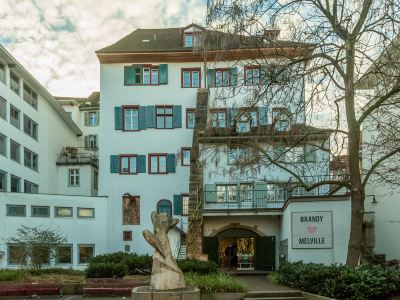 Airstay Basel Luxury Villa