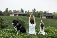 Wonderland Resort Changxing - palestra