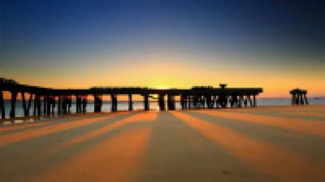 Fish from the East Guest