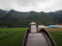 桐庐听雨楼民宿