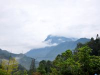 都江堰紫钰山境 - 酒店景观