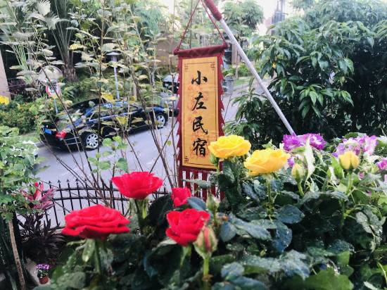 景洪小左民宿 景洪 優惠價錢預訂 22年最新比價和旅客評論 Trip Com