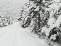 雪乡金龙家庭旅馆