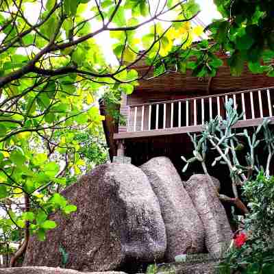 ナンユアン アイランド ダイブ リゾート Hotel Exterior