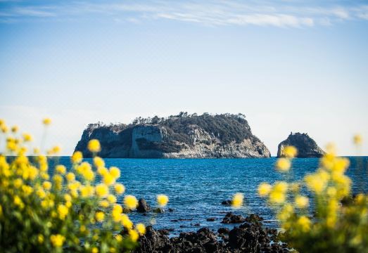 더 그랜드 섬오름의 야외 수영장 전경