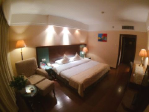 洛阳金水湾大酒店 - 豪华商务单间