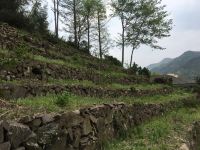 杭州觃御山居住宿 - 酒店景观