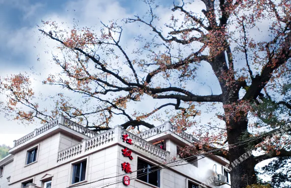 永嘉紅楓緣民宿