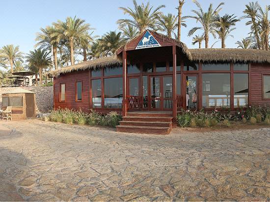 Camel Dive Club Hotel Boutique Hotel Room Reviews Photos Sharm El Sheikh 2021 Deals Price Trip Com