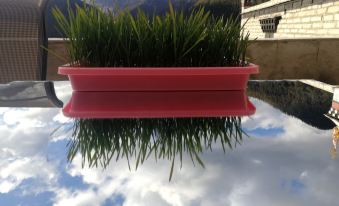 Yading Zhaxi Kongshu Tibetan Culture Theme Hotel