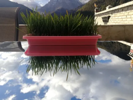 Yading Zhaxi Kongshu Tibetan Culture Theme Hotel