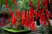 Qing Cheng Mountain Taoist Temple Yuanminggong Inn