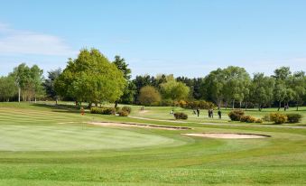 a group of people playing golf on a green field with trees and grass in the background at The Forest Lodge