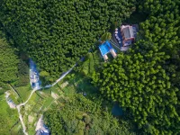 Arcadia HotSpring Hotel Hotels in 