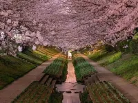 愛情海主題民宿（武漢湖工大地鐵口） 鄰近湖北工業大學的酒店