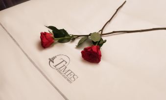 5. 톈시 고급 비즈..