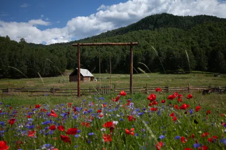 Tochimu Youyuanshan Residence Отели рядом с достопримечательностью «Hemu Birch Forest»