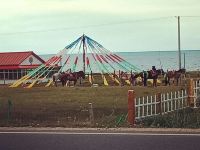 青海湖海天客栈 - 其他