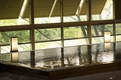 屋内プール 鬼怒川温泉ホテルの写真