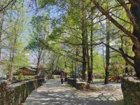 Anhui Farmhouse