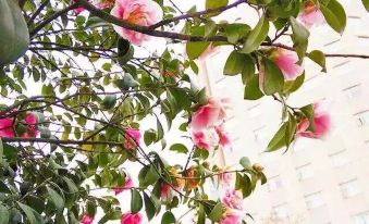 Guangzhou Constellation Hotel Apartment Sports West Branch