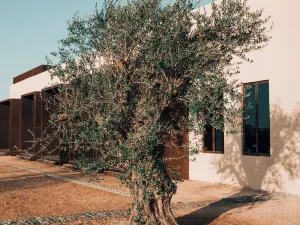 Al Faya Retreat by Sharjah Collection