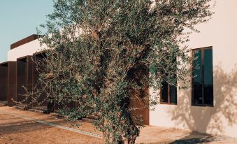 Al Faya Retreat by Sharjah Collection