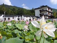 桐庐水岸山舍民宿 - 酒店附近