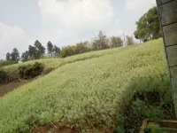 Zigong Longpan Hotel