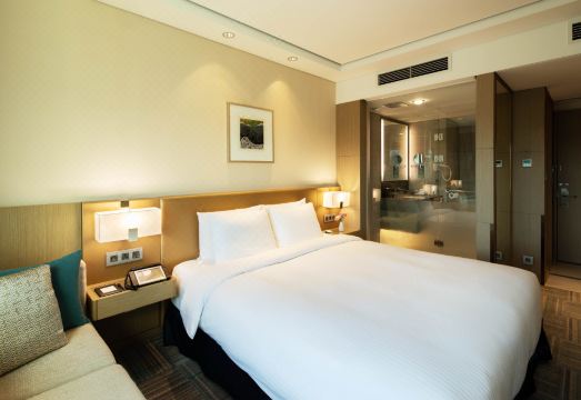 Novotel Seoul Ambassador Gangnam Over view