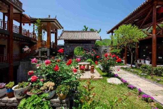 云台山映山红·归璞民宿