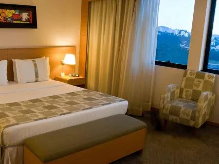 Holiday Inn Parque Anhembi
