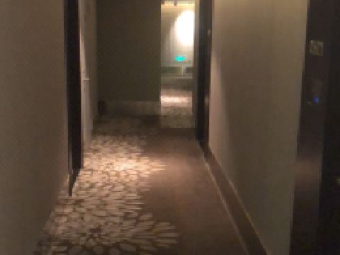 和颐至尚酒店(上海南京西路酒店) - 公共区域