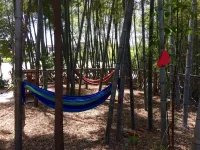 Bamboo Sea bamboo Hotel - pemandangan pegunungan
