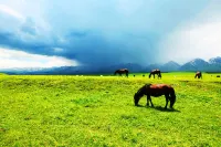 Dibei Hotel (Yining Tianshan Road Six Star Street Branch)