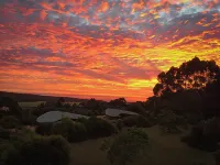 더 부메랑 앳 요한나