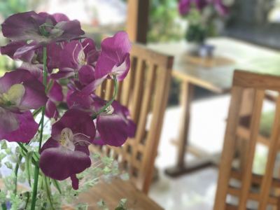 その他 ゴータマ ホームステイの写真