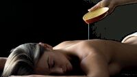 Royal Plaza Montreux - spa