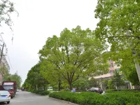 Xiping Lilong Hotel Hotels in Xiping